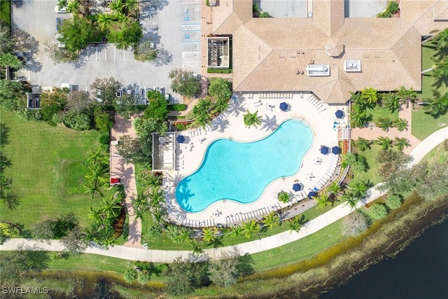 bird's eye view