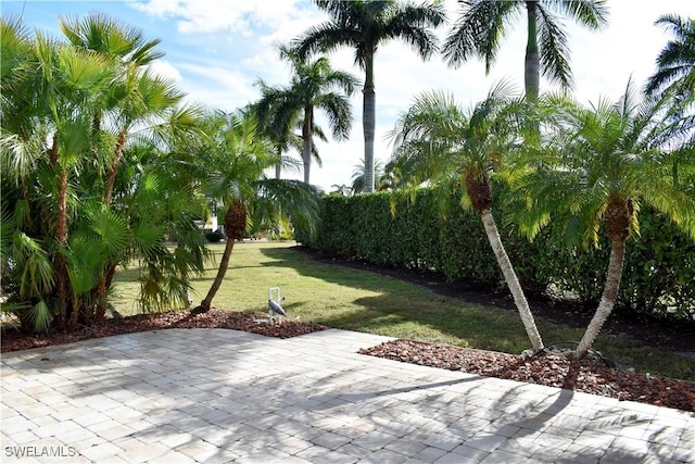 10210 Meadow Beauty Trl, Fort Myers, FL 33905 - photo 9