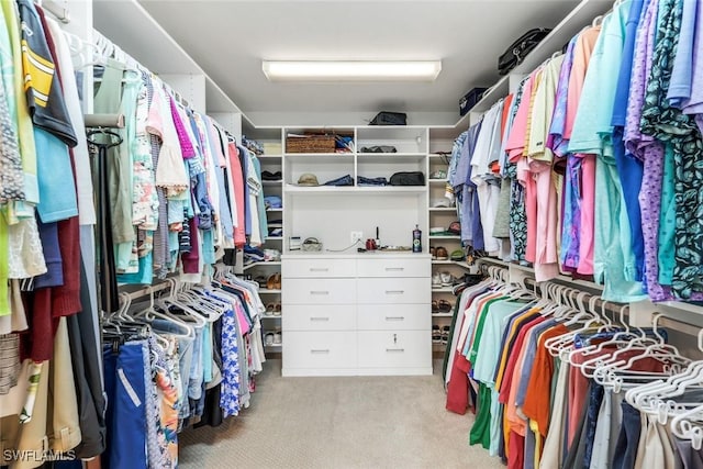 16902 Timberlakes Dr, Fort Myers, FL 33908 - spacious closet with carpet flooring