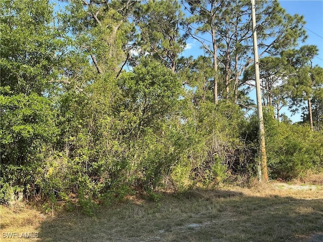 637 Crossarm Ave S, Lehigh Acres, FL 33974