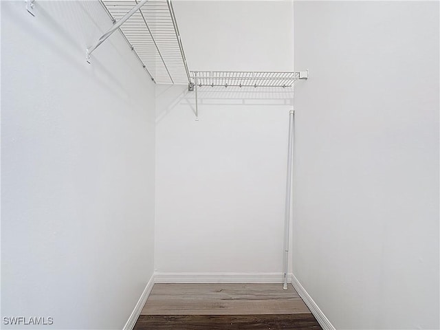 2178 Arbour Walk Cir Unit 2322, Naples, FL 34109 - spacious closet with wood finished floors