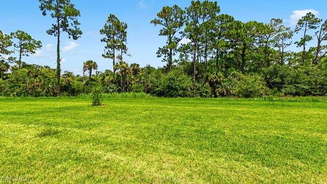 3036 Weston Manor Dr, Alva, FL 33920 - view of yard