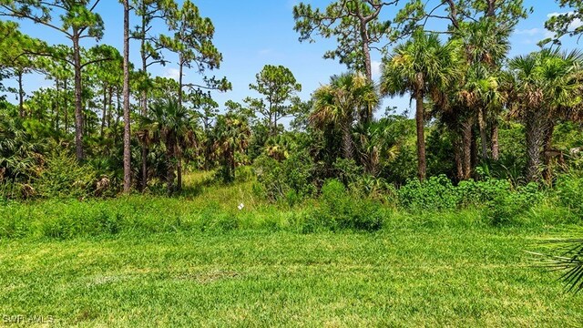 3036 Weston Manor Dr, Alva, FL 33920 - view of nature