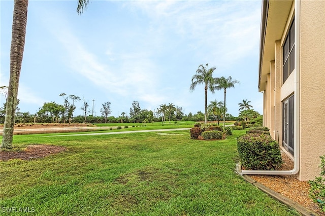 view of yard