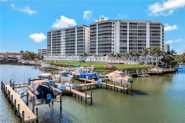 view of dock with a water view and boat lift