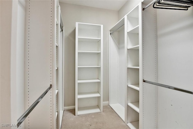 spacious closet featuring carpet flooring