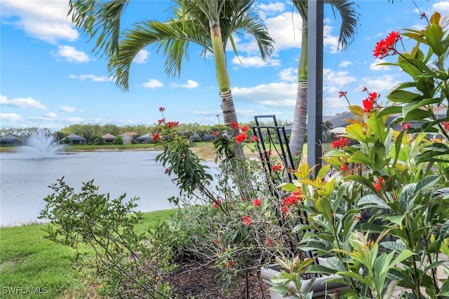 water view