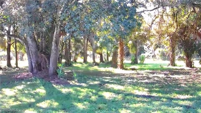 1330 Rock Rd, Naples, FL 34120 - view of nature