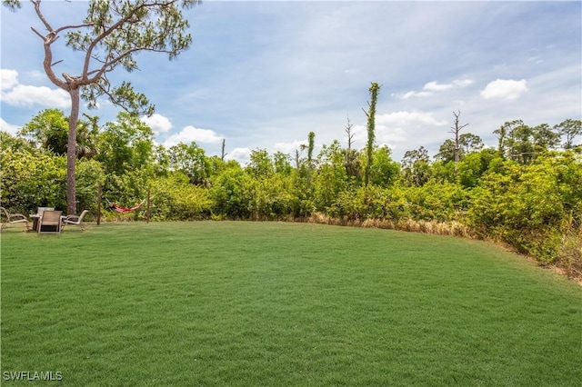 view of green lawn