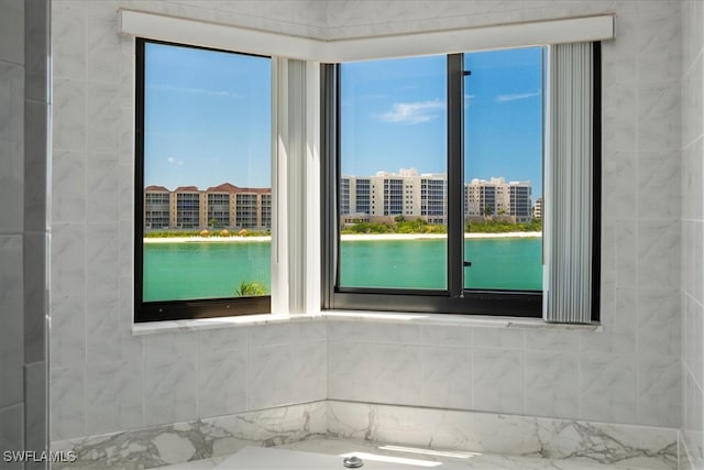 bathroom with plenty of natural light