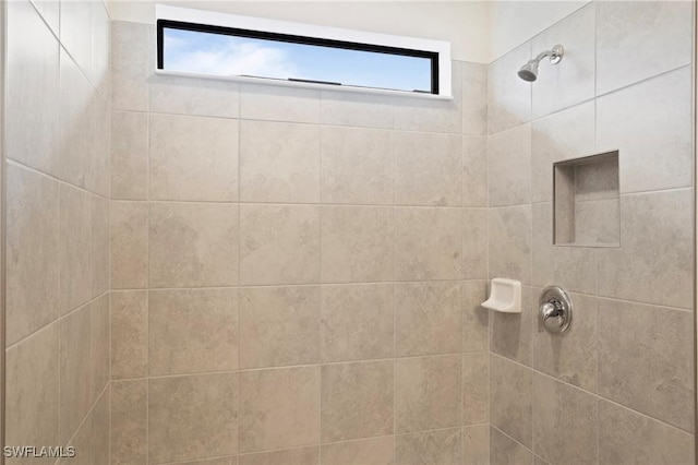 16044 Enclaves Cove Dr, North Fort Myers, FL 33917 - bathroom featuring a healthy amount of sunlight and a tile shower