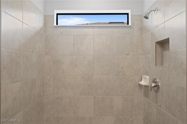 16044 Enclaves Cove Dr, North Fort Myers, FL 33917 - bathroom with a tile shower and a healthy amount of sunlight