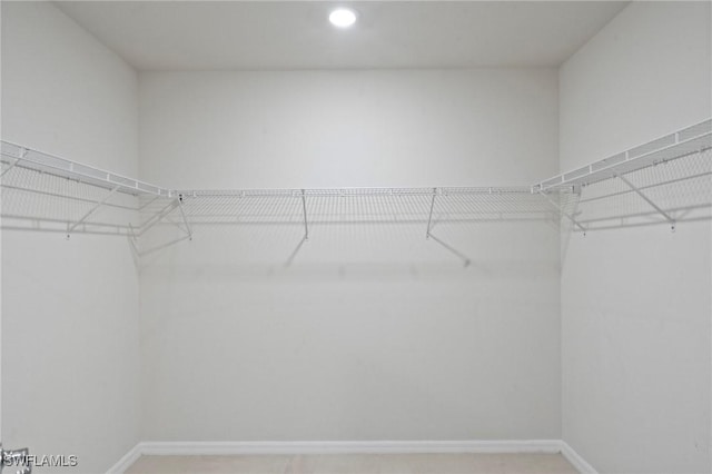16044 Enclaves Cove Dr, North Fort Myers, FL 33917 - view of walk in closet