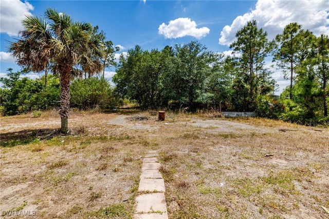 view of yard
