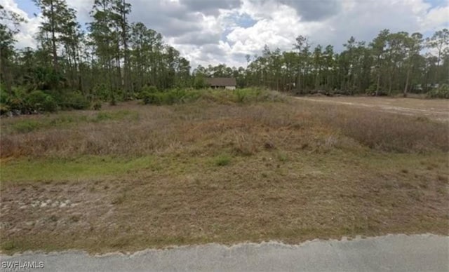 2203 Truman Ave, Alva, FL 33920