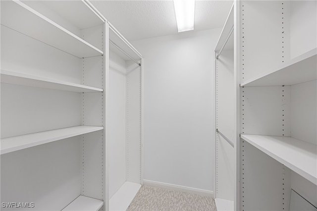 4788 San Carlo Ct, Naples, FL 34109 - walk in closet with carpet flooring