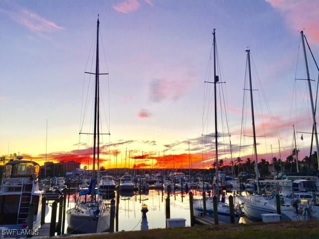 water view featuring a boat dock