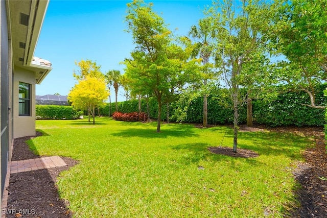 view of yard