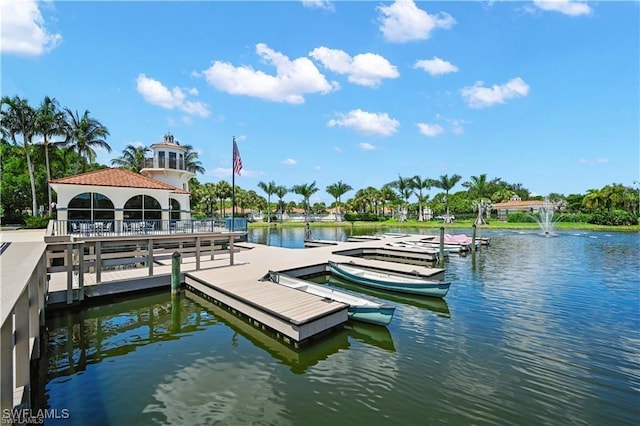 dock area with a water view