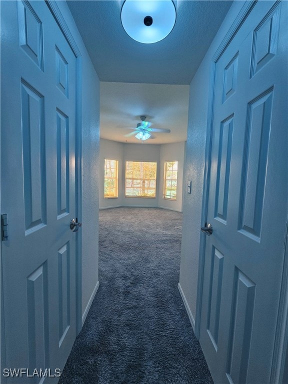 6025 Chardonnay Ln Unit 102, Naples, FL 34119 - hall with dark colored carpet and baseboards
