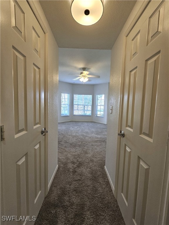 6025 Chardonnay Ln Unit 102, Naples, FL 34119 - hallway with dark carpet and baseboards
