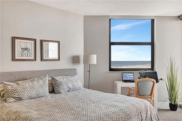 bedroom with carpet flooring