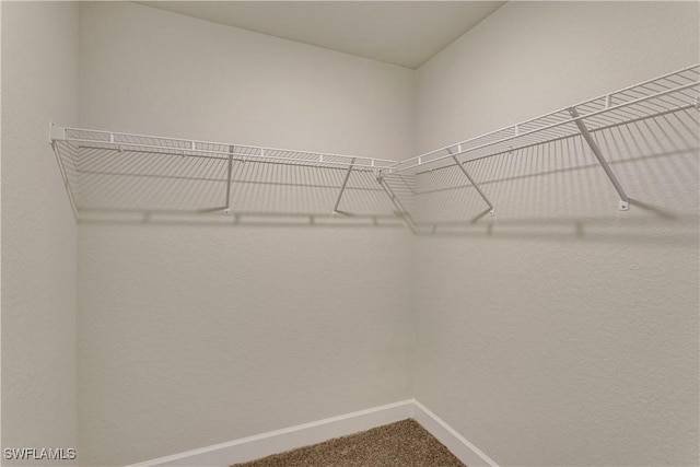 spacious closet with carpet