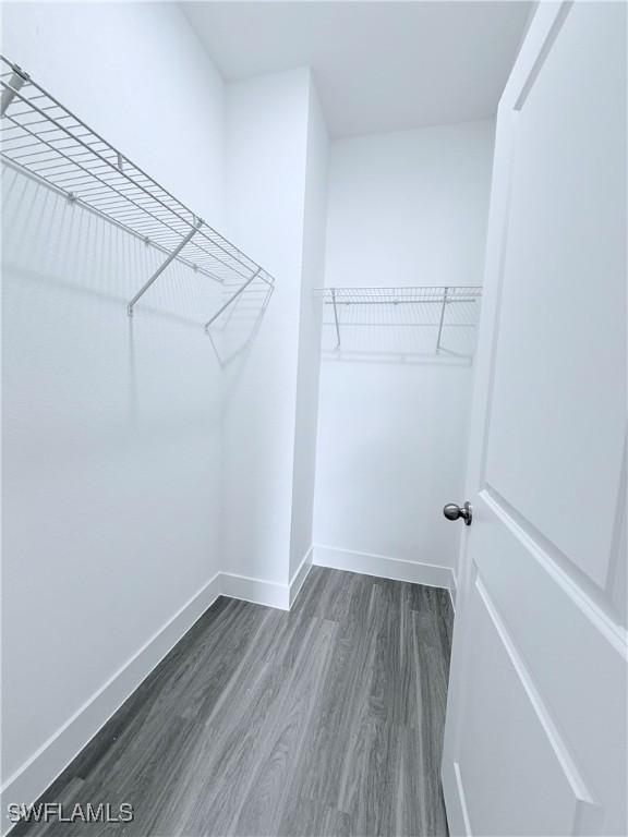 walk in closet featuring dark wood-style flooring
