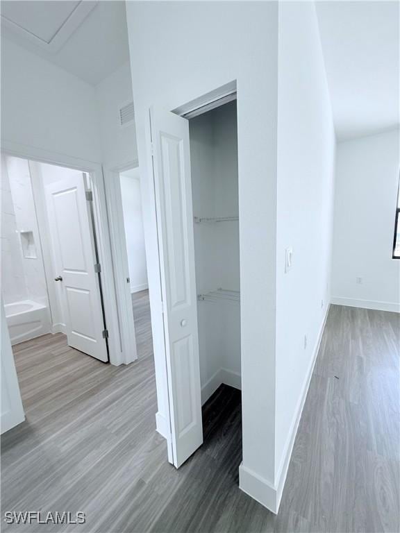 view of closet
