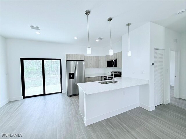 8032 Mangrove Cir, Labelle, FL 33935 - kitchen with appliances with stainless steel finishes, a sink, light wood-style floors, light countertops, and a peninsula