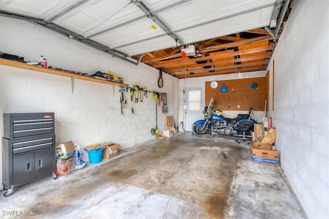 4732 Blackberry Dr, Fort Myers, FL 33905 - view of garage