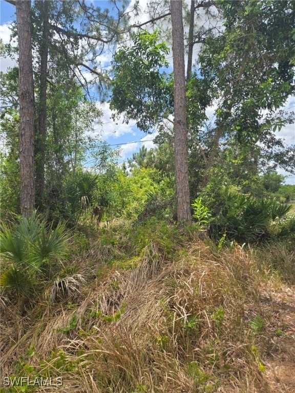 2556 Randall Blvd, Naples, FL 34120