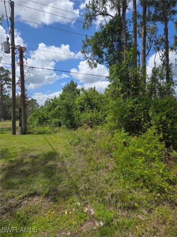 2556 Randall Blvd, Naples, FL 34120