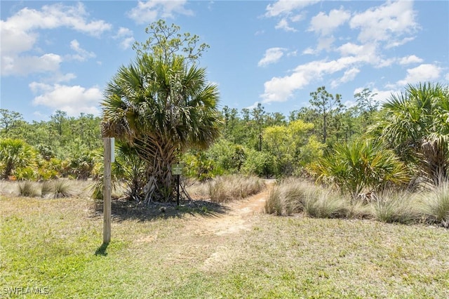 10520 Amiata Way Unit 303, Fort Myers, FL 33913 - view of local wilderness