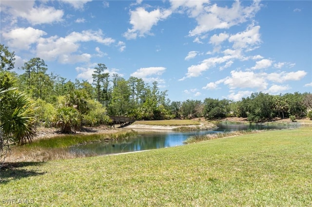 10520 Amiata Way Unit 303, Fort Myers, FL 33913 - water view