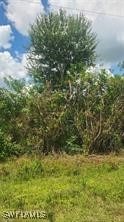 630 Hacienda St N, Clewiston, FL 33440