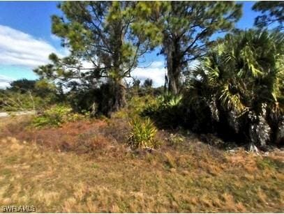 Braddock Ave, North Port, FL 34288