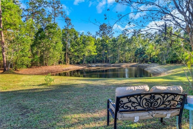 view of home's community with a lawn and a water view