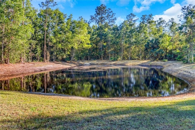view of water feature featuring a wooded view