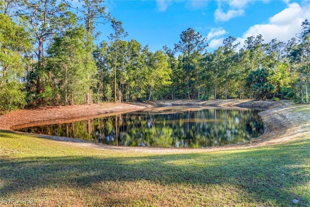 view of water feature with a forest view