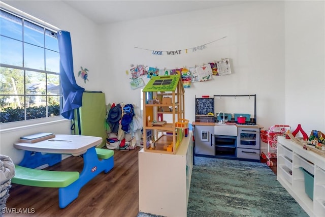 playroom with plenty of natural light and wood finished floors