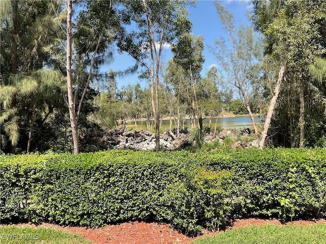 view of yard with a water view
