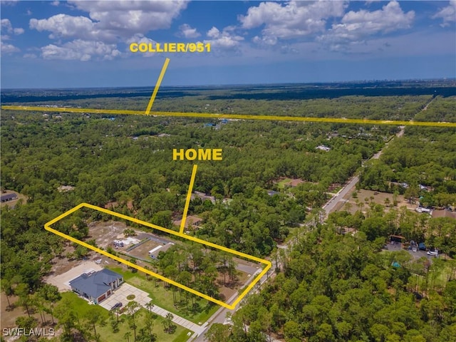 3650 1st Ave SW, Naples, FL 34117 - bird's eye view with a forest view