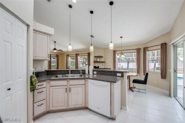 6731 Blake Pledger Ct, North Fort Myers, FL 33917 - kitchen featuring a peninsula, plenty of natural light, a sink, and dishwasher