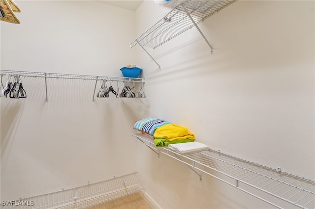 5781 Cape Harbour Dr Unit 610, Cape Coral, FL 33914 - view of spacious closet