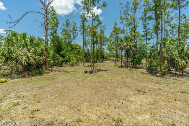2625 27th Ave NE, Naples, FL 34120 - view of local wilderness