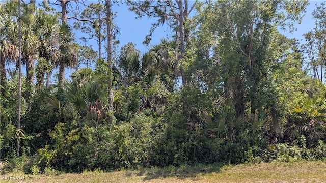13093 Babcock Ave, Port Charlotte, FL 33953