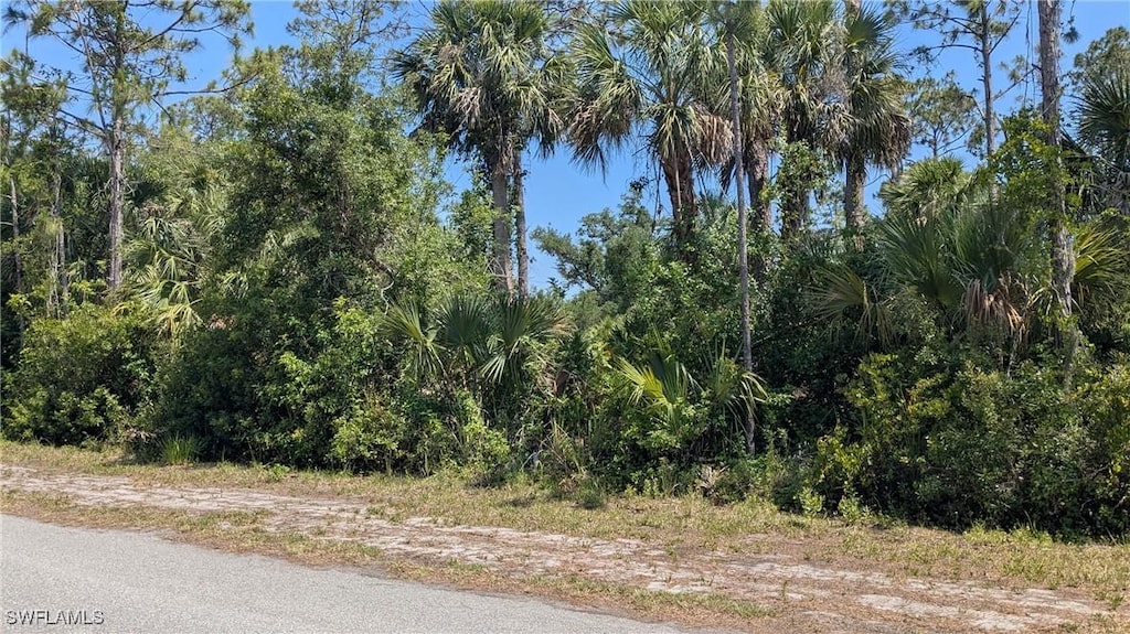 13093 Babcock Ave, Port Charlotte, FL 33953