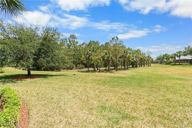 view of yard