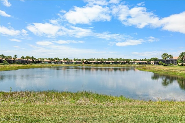 property view of water